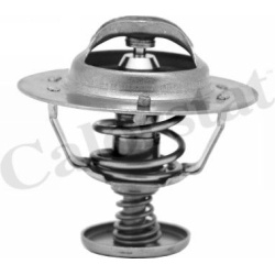 termostatas, aušinimo skystis
                                CALORSTAT by Vernet                                           