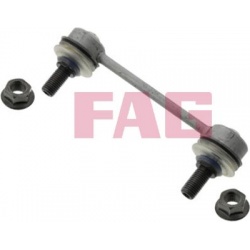 Stabilizatoriaus traukė
                                FAG                                                818014310, FAG, 8