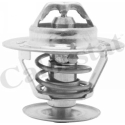 termostatas, aušinimo skystis
                                CALORSTAT by Vernet                                           