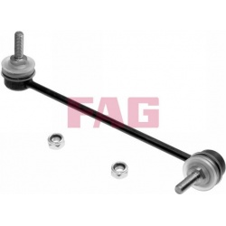 Stabilizatoriaus traukė
                                FAG                                818005610, FAG, 818005610, auto d