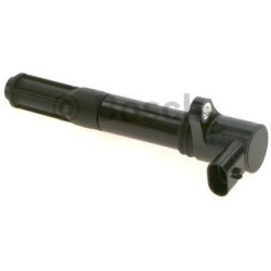 ritė, uždegimas
                                BOSCH                                                098622A204, BOSCH, 098
