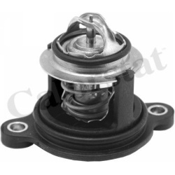 termostatas, aušinimo skystis
CALORSTAT by Vernet