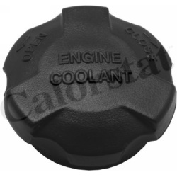 dangtelis, radiatorius
                                CALORSTAT by Vernet                                                RC0