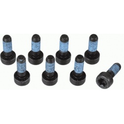 varžtų komplektas, smagratis
                                SACHS                                1874 000 073, SACHS, 1874