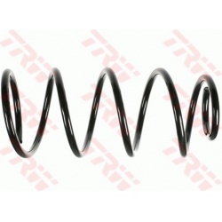 spyruoklė
TRW JCS632, TRW, JCS632, auto detal