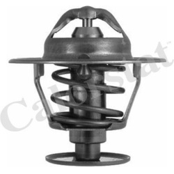 termostatas, aušinimo skystis
                                CALORSTAT by Vernet                                           