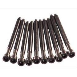 Varžtai cilindrų galvutės, kmpl.
                                ELRING                                                057