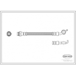 stabdžių žarnelė
                                CORTECO                                                19036193, CORTECO