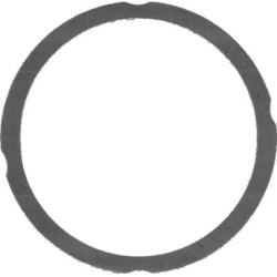 tarpiklis, cilindro galva
                                ELRING                                765.481, ELRING, 765481, auto