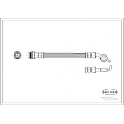 stabdžių žarnelė
                                CORTECO                                                19036194, CORTECO
