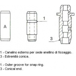 vožtuvų kreiptuvai Standard
                                METELLI                                                01-0957,