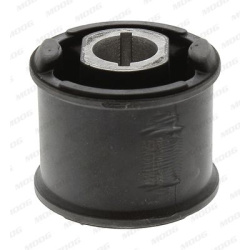 Stebulės laikiklio įvorė
MOOG LR-SB-12557,