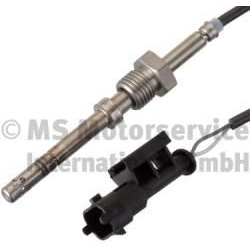 Daviklis išmet. dujų temperatūros
PIERBURG