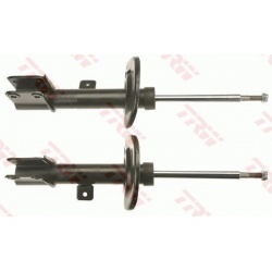 amortizatorius TRW TWIN
                                                JGM1079T, TRW, JGM1079T, auto detalė