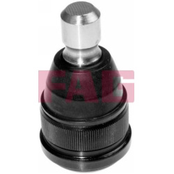 Šarnyras
FAG 825002410, FAG, 825002410, auto