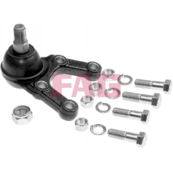 Šarnyras
                                FAG                                                825003510, FAG, 825003510, auto 