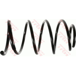 spyruoklė
TRW JCS661, TRW, JCS661, auto detal