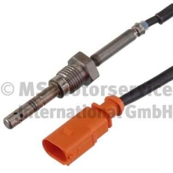 Daviklis išmet. dujų temperatūros
                                PIERBURG                                                