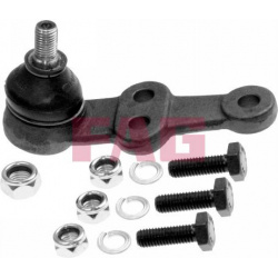 Šarnyras
                                FAG                                825022610, FAG, 825022610, auto detalė