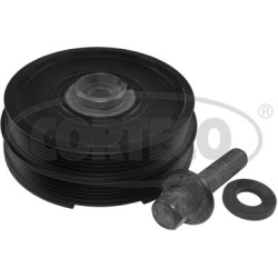 alkūninio veleno skriemulių rinkinys
                                CORTECO                                               