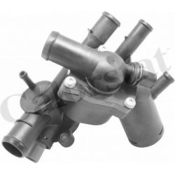 termostatas, aušinimo skystis
                                CALORSTAT by Vernet                                           