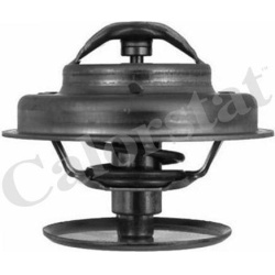 termostatas, aušinimo skystis
                                CALORSTAT by Vernet                                           