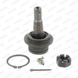 Šarnyras
                                MOOG                                                AMGK8695T, MOOG, AMGK8695T, aut