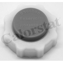 dangtelis, radiatorius
                                CALORSTAT by Vernet                                                RC0