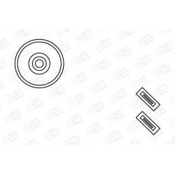 ritė, uždegimas
                                CHAMPION                                                BAEA326, CHAMPION, 