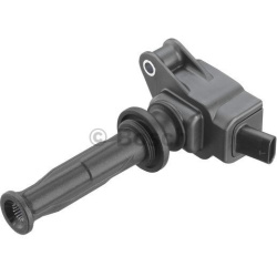 ritė, uždegimas
                                BOSCH                                                0221604024, BOSCH, 022
