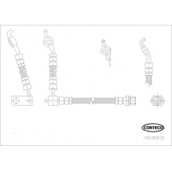 stabdžių žarnelė
                                CORTECO                                                19036615, CORTECO