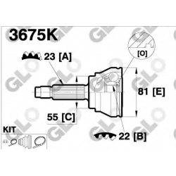 GLO                                                3675K, GLO, 3675K, auto detalė