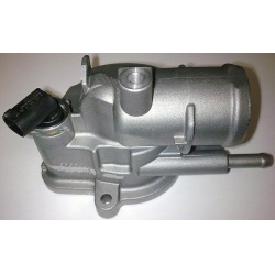 termostatas, aušinimo skystis
                                BorgWarner (Wahler)                                           