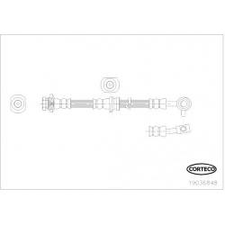 stabdžių žarnelė
                                CORTECO                                                19036848, CORTECO