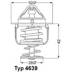 termostatas, aušinimo skystis
                                BorgWarner (Wahler)                                           
