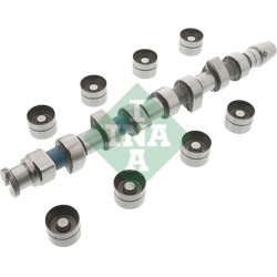 skirstomojo veleno komplektas
                                INA                                                428004830, I