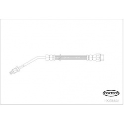 stabdžių žarnelė
                                CORTECO                                                19036601, CORTECO