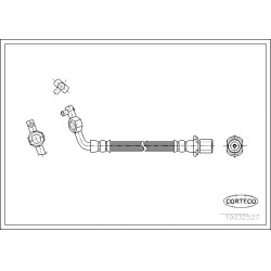 stabdžių žarnelė
                                CORTECO                                                19032527, CORTECO