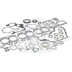 visas tarpiklių komplektas, variklis
                                ELRING                                905.710, ELRING, 