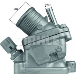 termostatas, aušinimo skystis BEHR
                                MAHLE                                                TM20