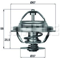 termostatas, aušinimo skystis BEHR
                                MAHLE                                                TX21