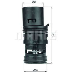 Termostatas EGR
                                MAHLE                                                TO780, MAHLE, TO780, aut