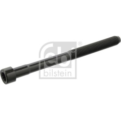 cilindro galvutės varžtas
                                FEBI BILSTEIN                                                1195