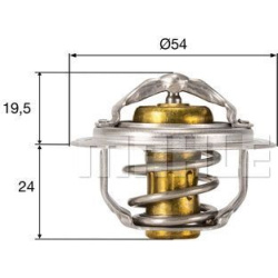 termostatas, aušinimo skystis BEHR
                                MAHLE                                                TX21