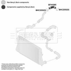 kompresoriaus padavimo žarna
BORG & BECK