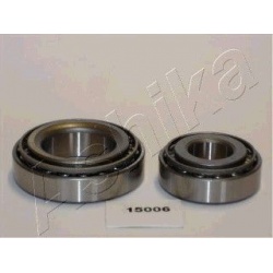 Rato guolio komplektas
                                ASHIKA                                                44-15006, ASHIKA