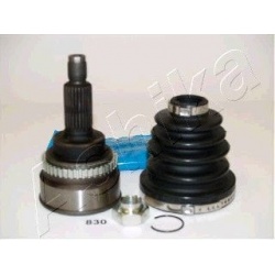 pusašio šarnyras
                                ASHIKA                                                62-08-830, ASHIKA, 6