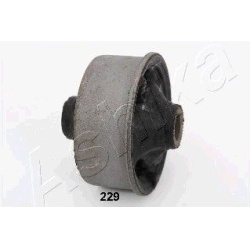 sailentblokas
                                ASHIKA                                                GOM-229, ASHIKA, GOM-229,
