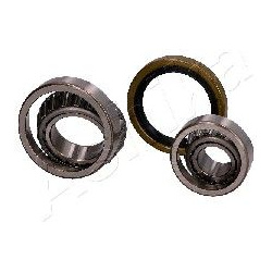 rato guolis
                                ASHIKA                                                44-12008, ASHIKA, 44-12008,