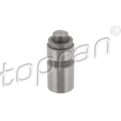 svirtis/kumštelis
                                TOPRAN                                                300 333, Nenurodytas